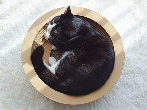 橋西cat-004碗型貓抓板